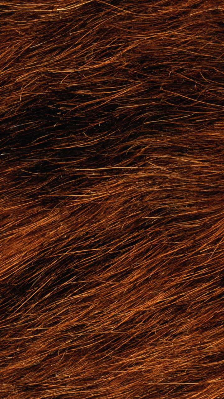 Brown and Black Fur Textile. Wallpaper in 720x1280 Resolution