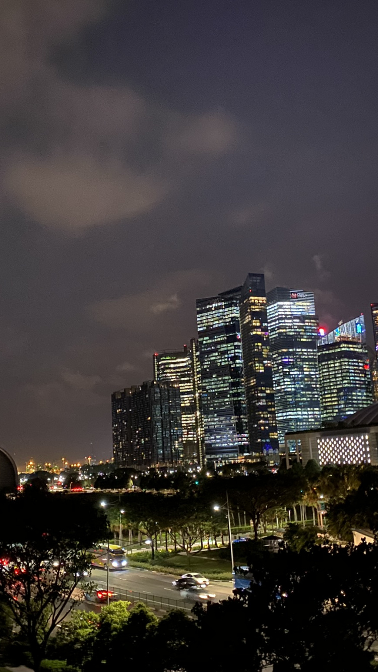 Singapur, Nacht, Tower Block, Metropole, Stadtgebiet. Wallpaper in 750x1334 Resolution