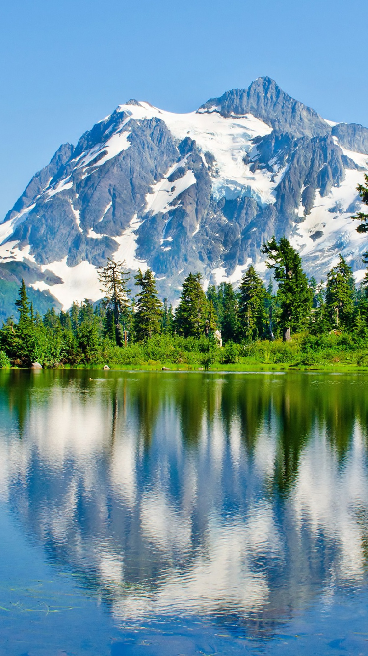 Grüne Bäume in Der Nähe Von See Und Schneebedeckten Bergen Tagsüber. Wallpaper in 750x1334 Resolution