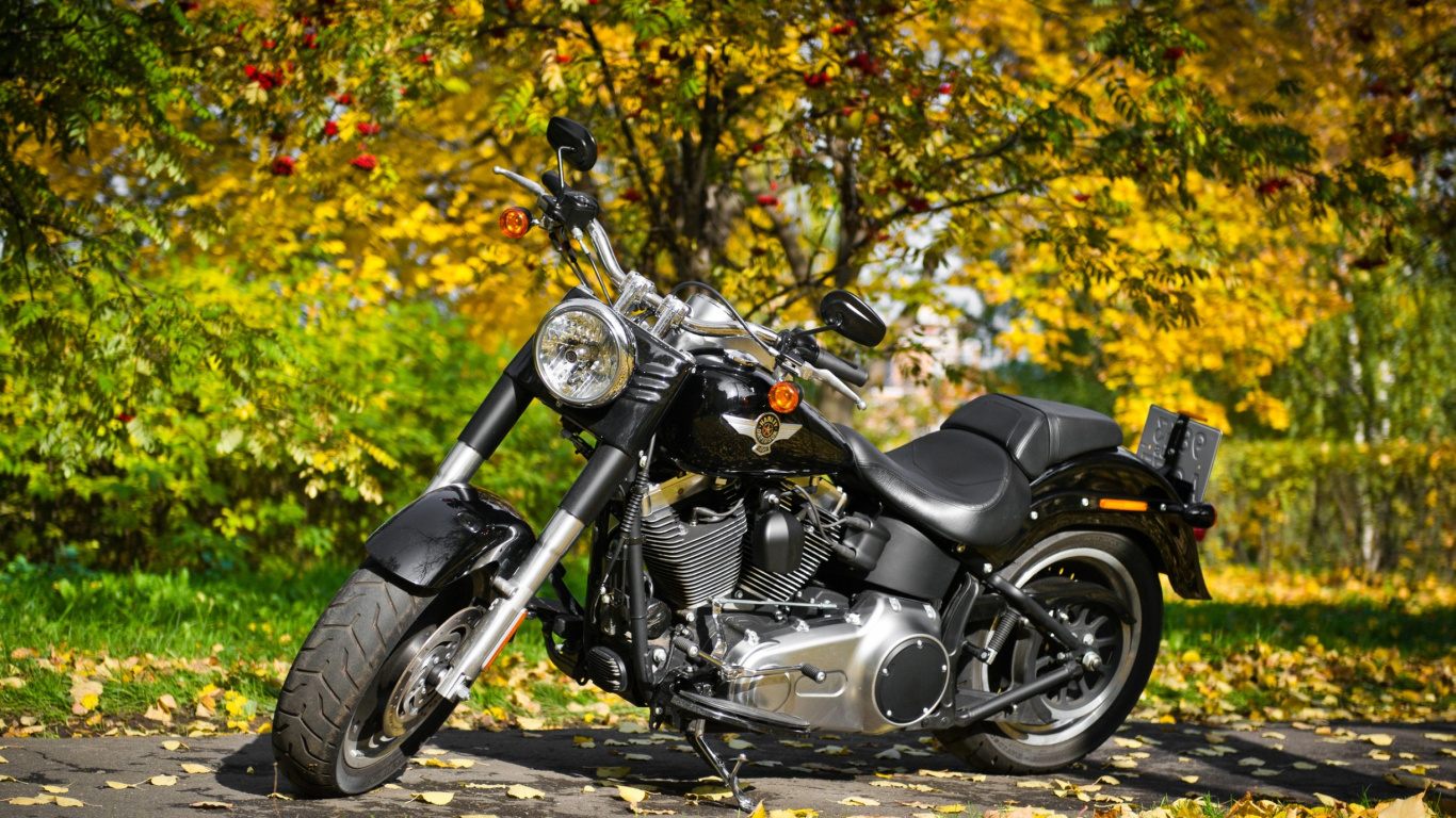 Moto Cruiser Noir et Argent Sur Feuilles Jaunes. Wallpaper in 1366x768 Resolution