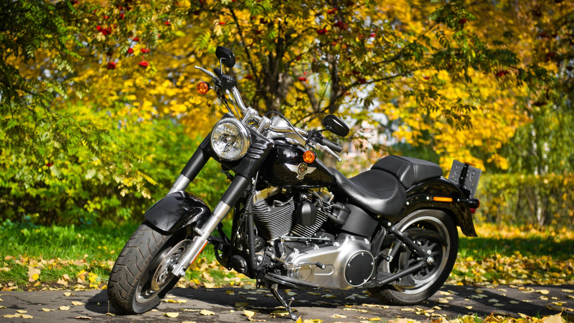 Motocicleta Cruiser Negra y Plateada Sobre Hojas Amarillas. Wallpaper in 1920x1080 Resolution