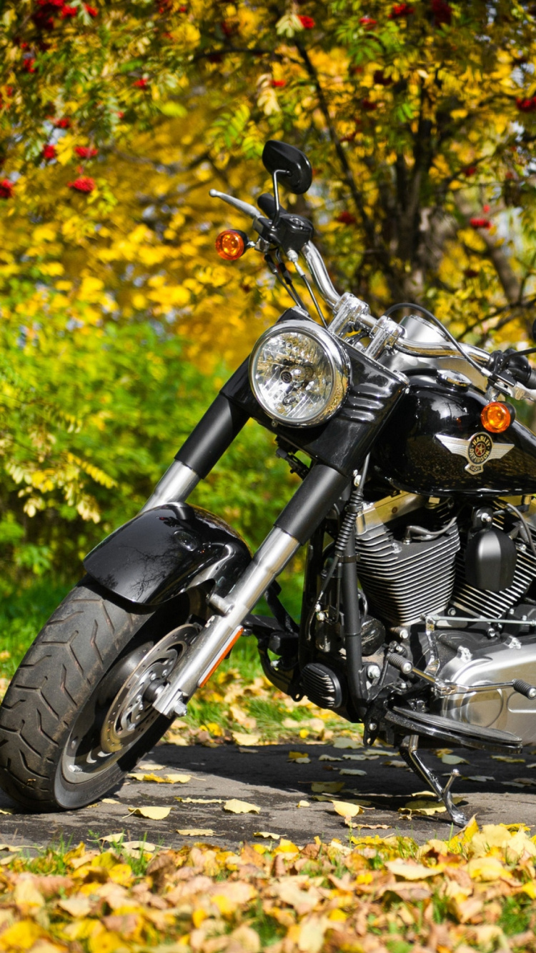 Black and Silver Cruiser Motorcycle on Yellow Leaves. Wallpaper in 750x1334 Resolution