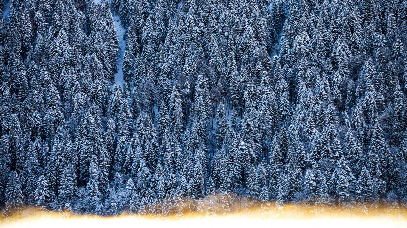 Congelación, Gratis, Azure, Rectángulo, Textil. Wallpaper in 1366x768 Resolution