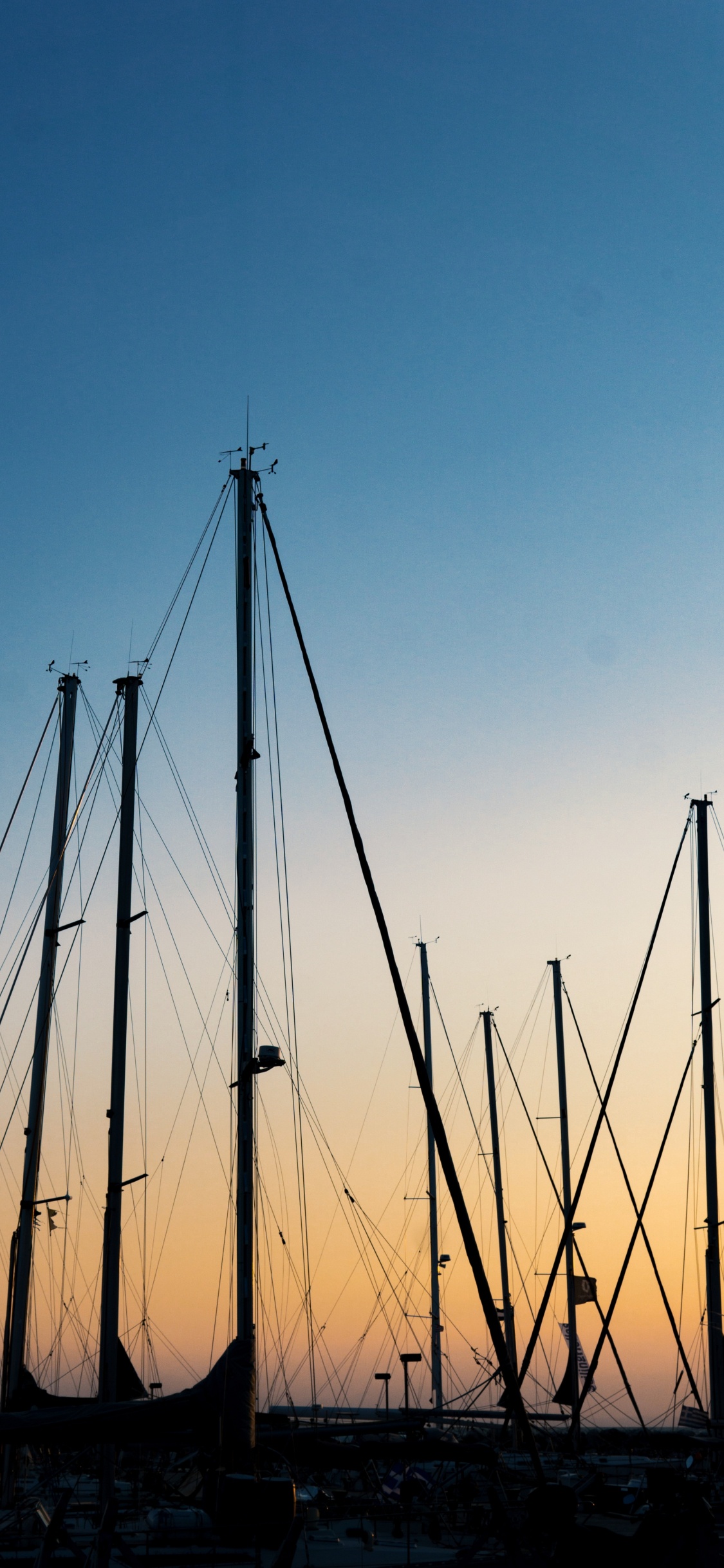 Poteaux en Bois Marron Sous Ciel Bleu Pendant la Journée. Wallpaper in 1125x2436 Resolution