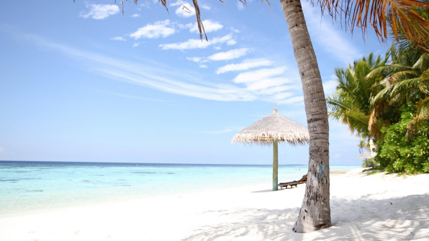 Parasols en Bois Marron Sur la Plage de Sable Blanc Pendant la Journée. Wallpaper in 1366x768 Resolution