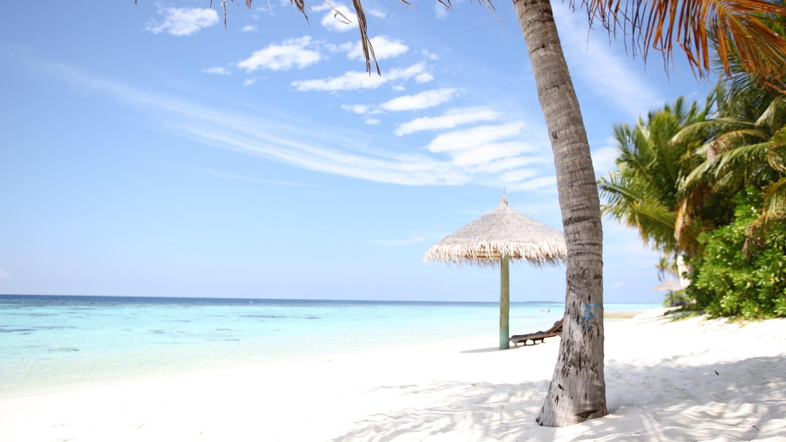 Parasols en Bois Marron Sur la Plage de Sable Blanc Pendant la Journée. Wallpaper in 2560x1440 Resolution