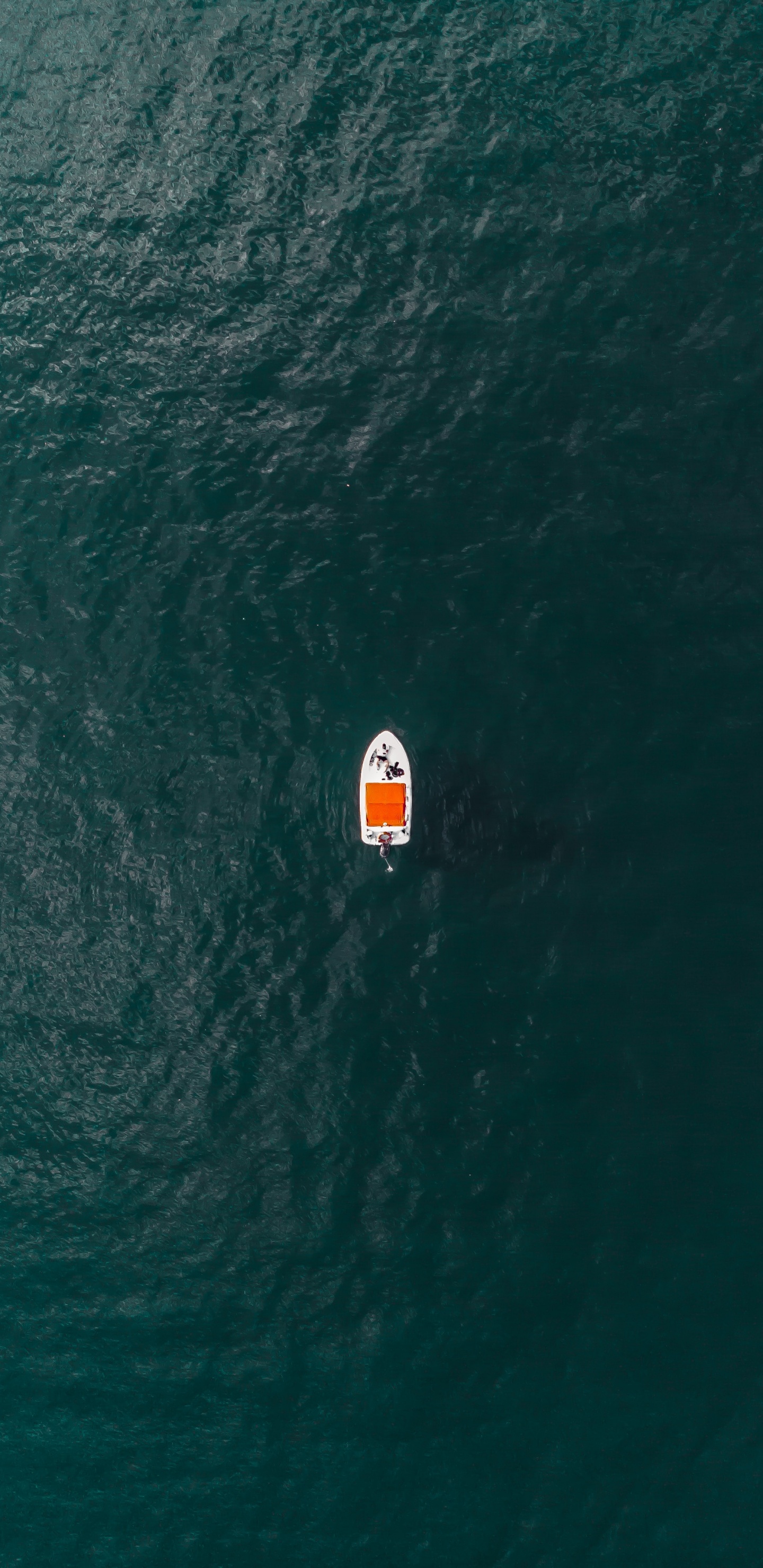 Barco Blanco en el Cuerpo de Agua Durante el Día. Wallpaper in 1440x2960 Resolution
