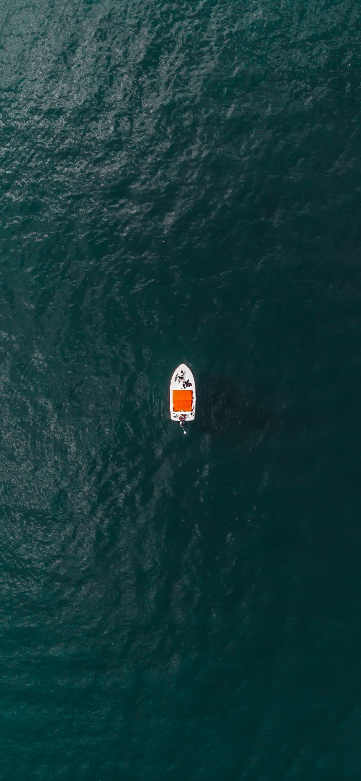 White Boat on Body of Water During Daytime. Wallpaper in 1242x2688 Resolution