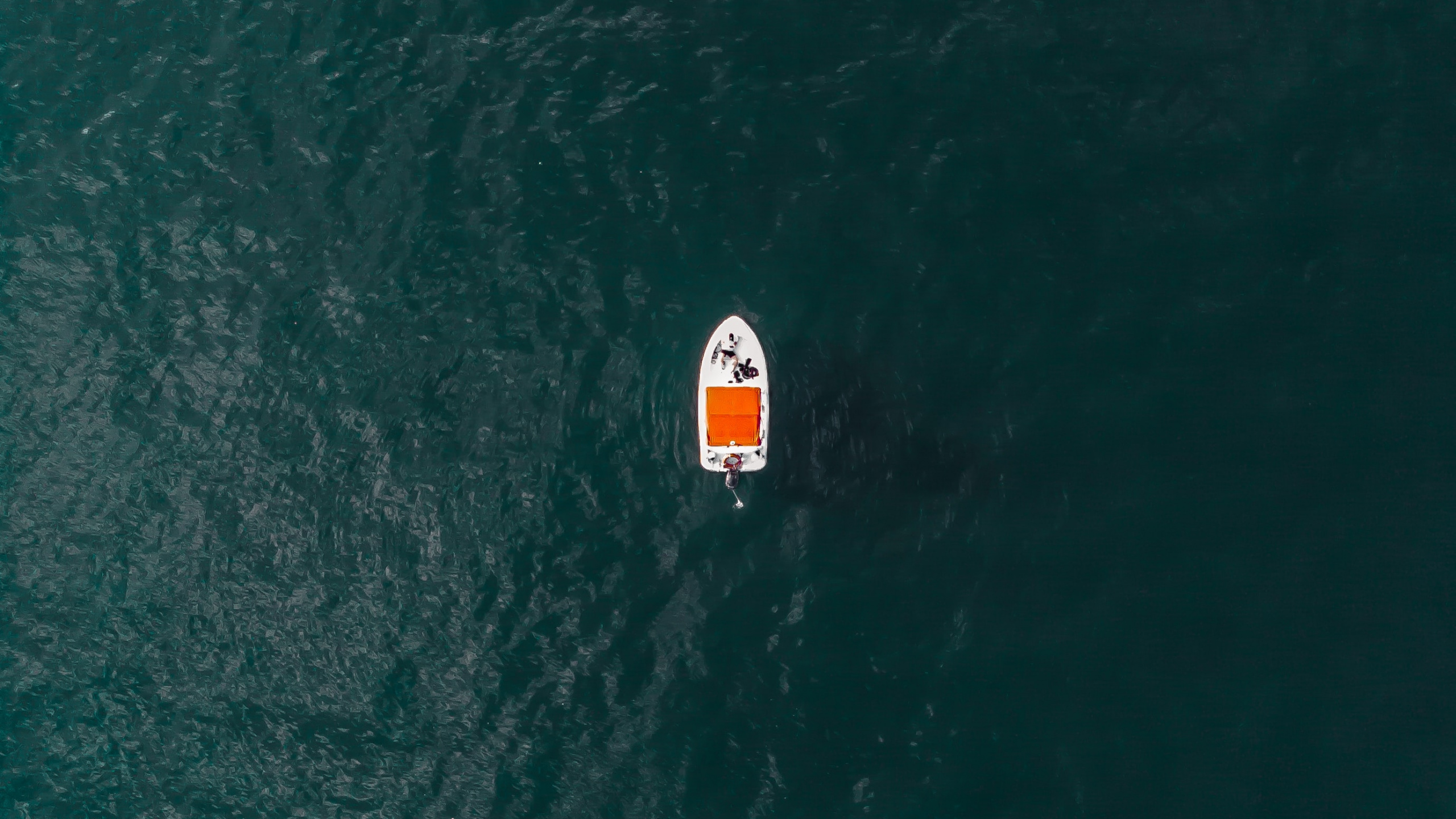 White Boat on Body of Water During Daytime. Wallpaper in 2560x1440 Resolution