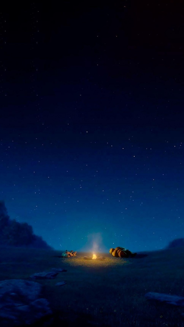 Princesse Fiona, Âne, Photos de Dreamworks, Animation DreamWorks, Atmosphère. Wallpaper in 720x1280 Resolution