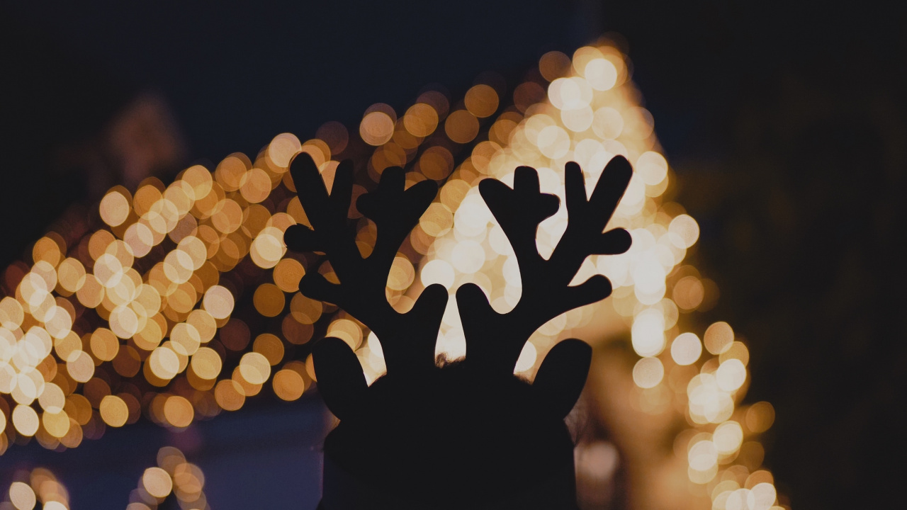 Homme Avec Des Guirlandes Lumineuses Jaunes Sur Son Visage. Wallpaper in 1280x720 Resolution