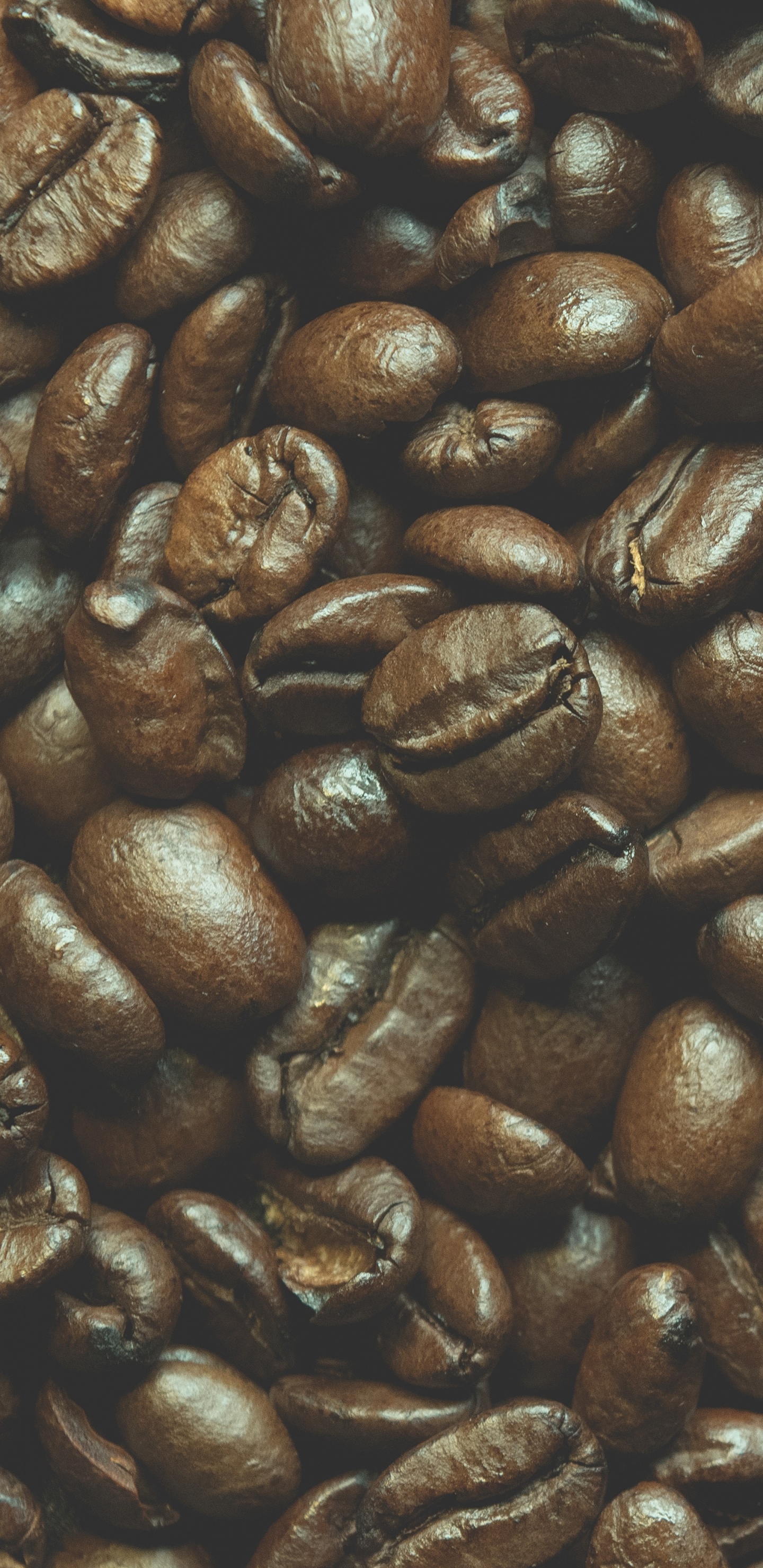 Grains de Café Bruns Sur Surface Noire. Wallpaper in 1440x2960 Resolution
