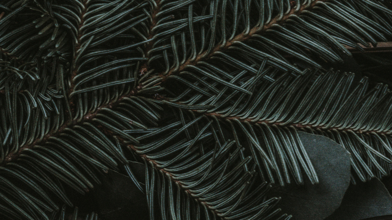 Verde Medianoche, Ios, Manzana, Planta Terrestre, Alerce. Wallpaper in 1366x768 Resolution