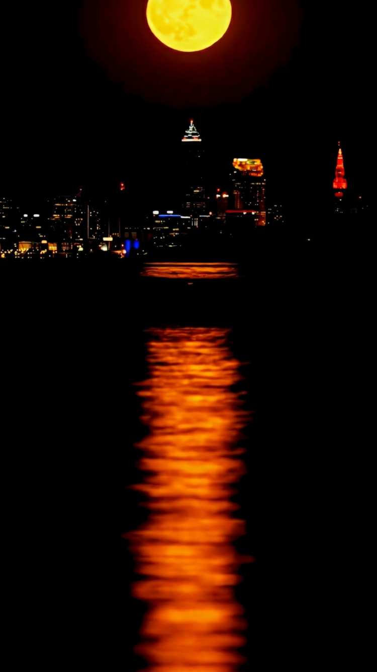 Night, Water, Water Resources, Liquid, Light. Wallpaper in 750x1334 Resolution