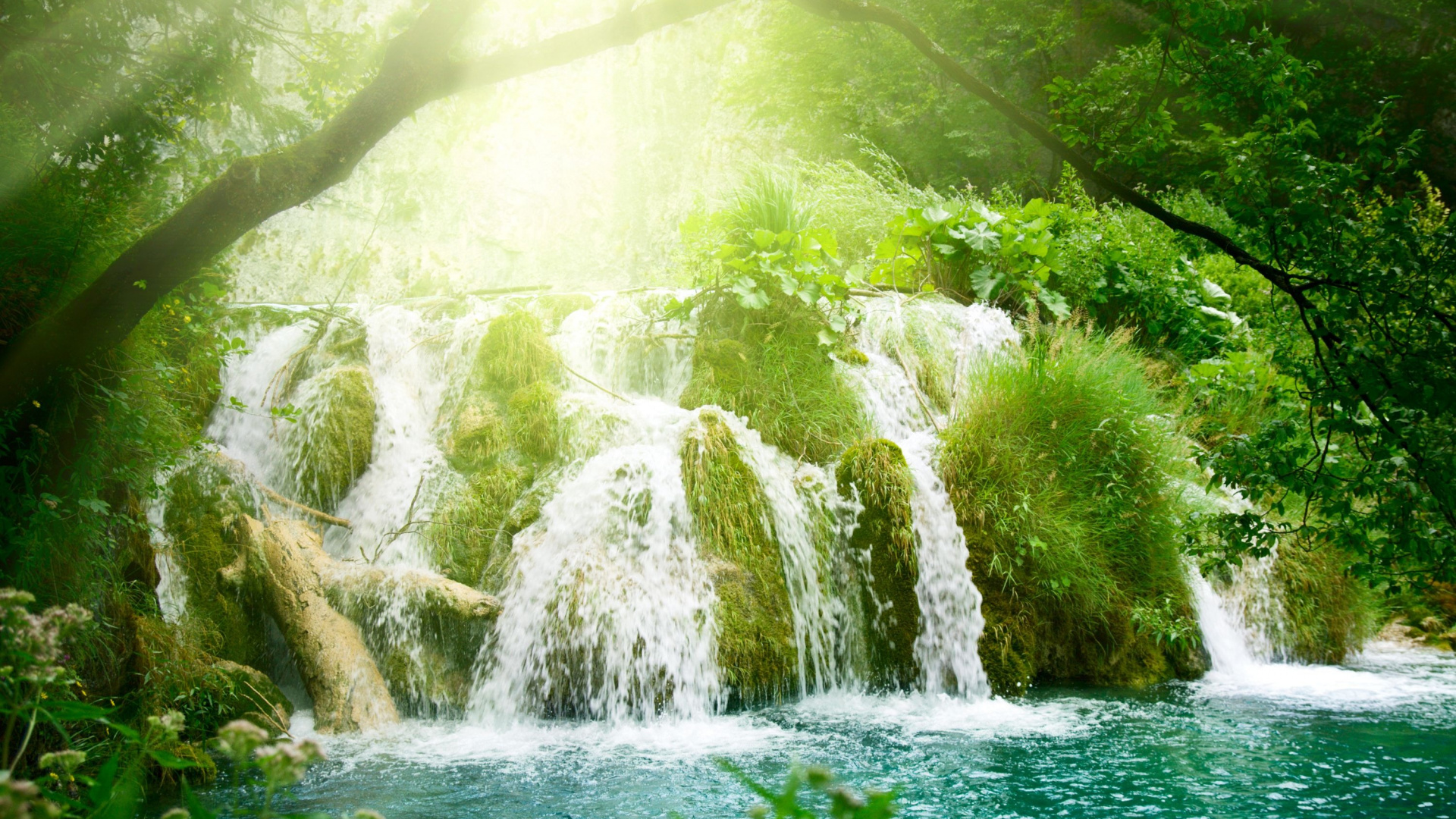 Musgo Verde en el Tronco de un Árbol Marrón Cerca de Las Cascadas de Agua. Wallpaper in 1920x1080 Resolution