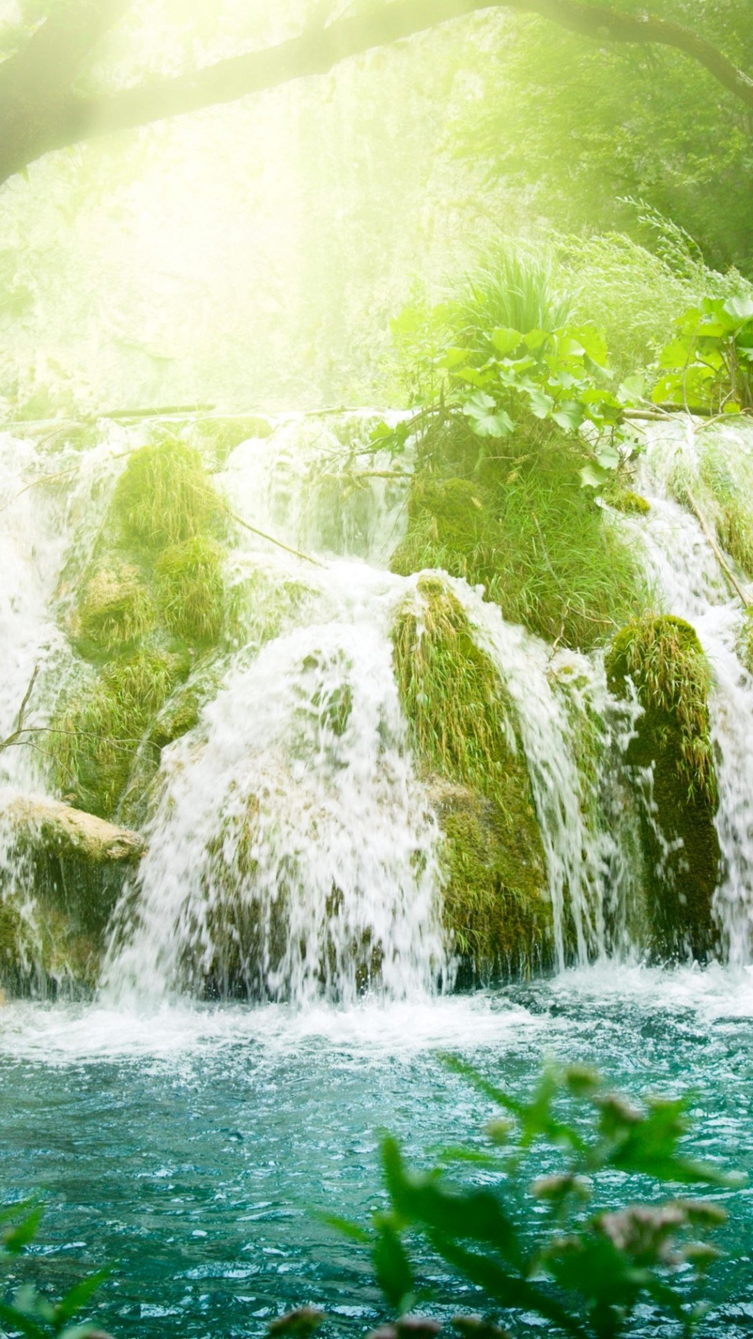 Grünes Moos Auf Braunem Baumstamm in Der Nähe Von Wasserfällen. Wallpaper in 1080x1920 Resolution