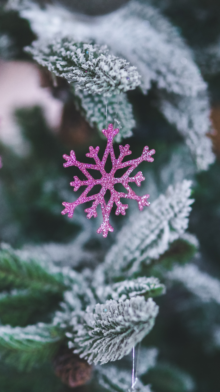 New Year, Christmas Day, Holiday, Frost, Pink. Wallpaper in 750x1334 Resolution