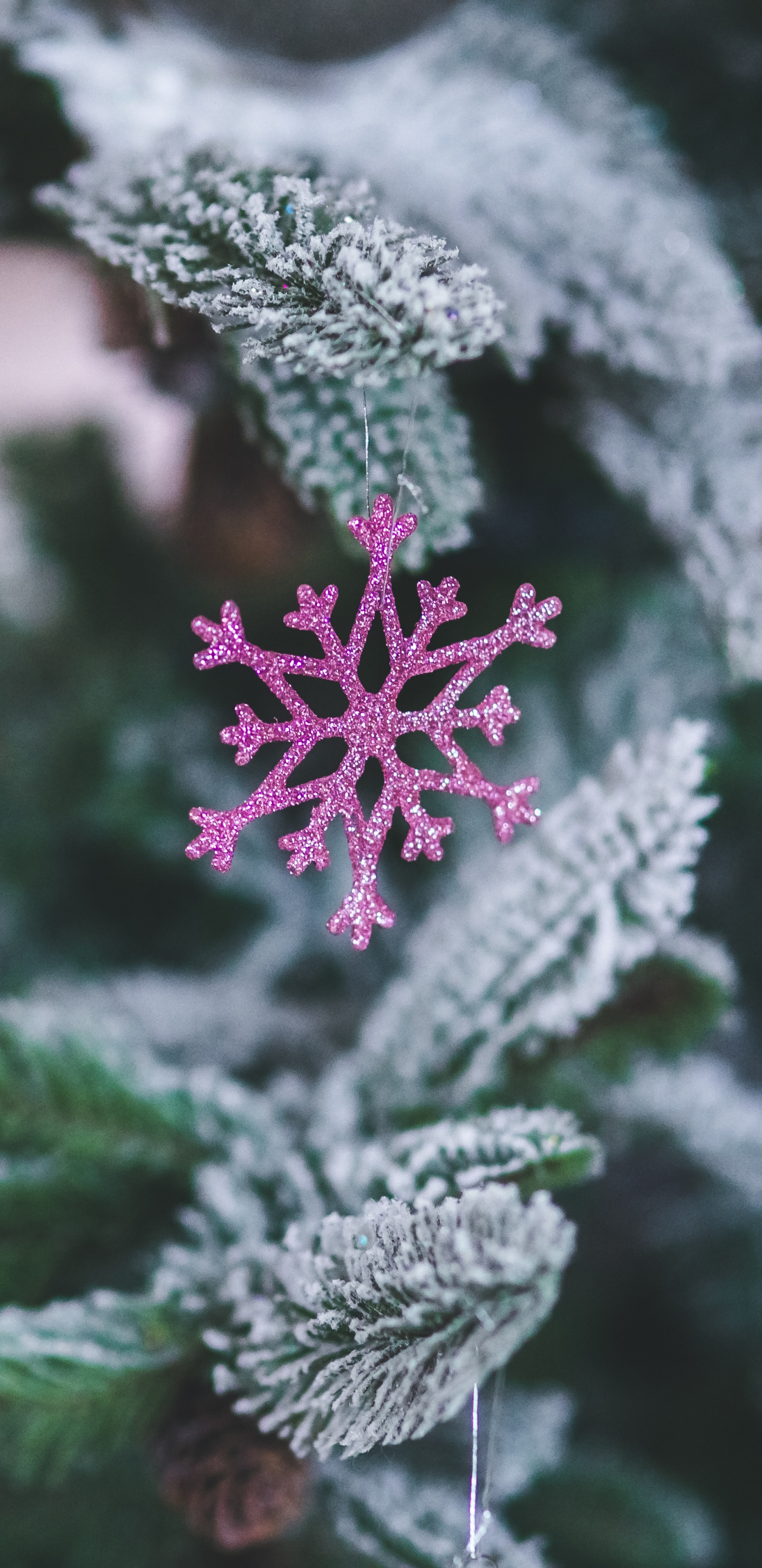 Neujahr, Weihnachten, Frost, Pink, Winter. Wallpaper in 1440x2960 Resolution