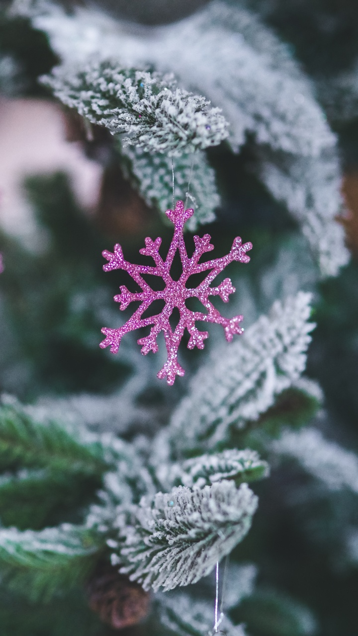 Neujahr, Weihnachten, Frost, Pink, Winter. Wallpaper in 720x1280 Resolution