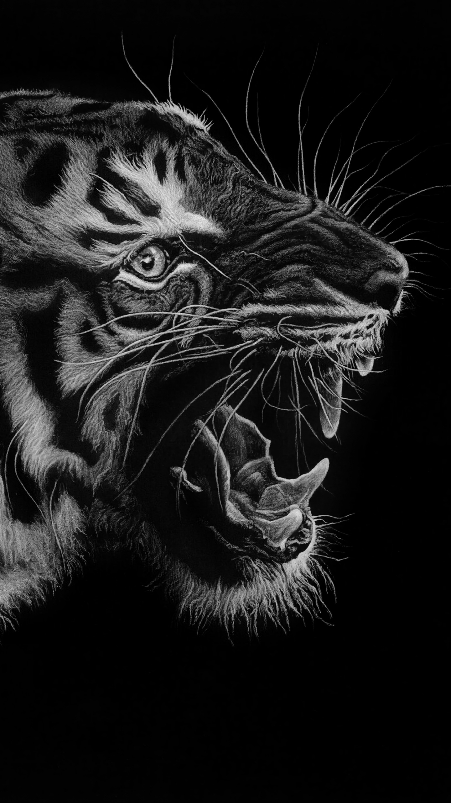 Illustration de Tigre Noir et Blanc. Wallpaper in 1440x2560 Resolution