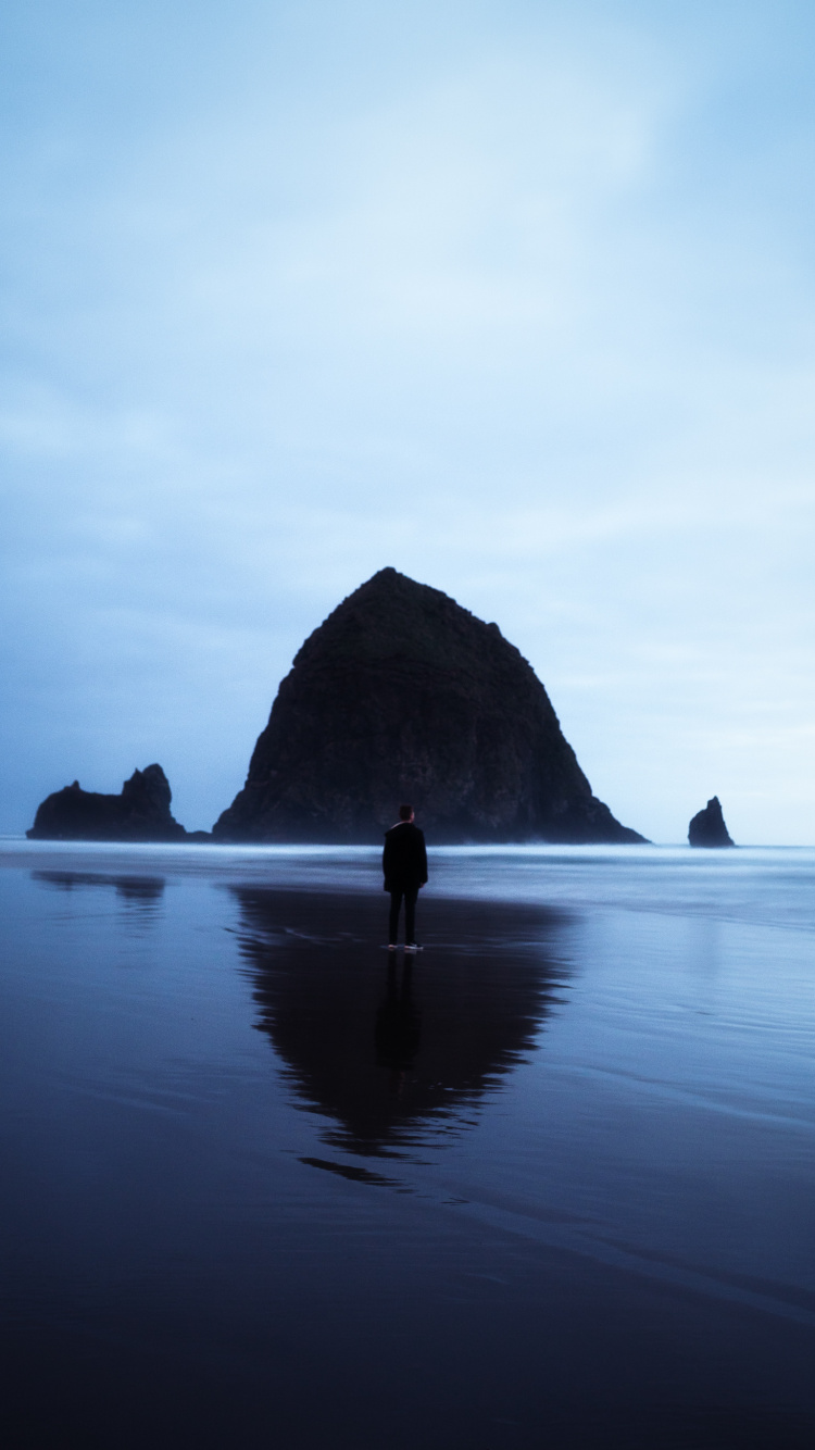 Haystack Rock, Corps de L'eau, Mer, Eau, Rock. Wallpaper in 750x1334 Resolution