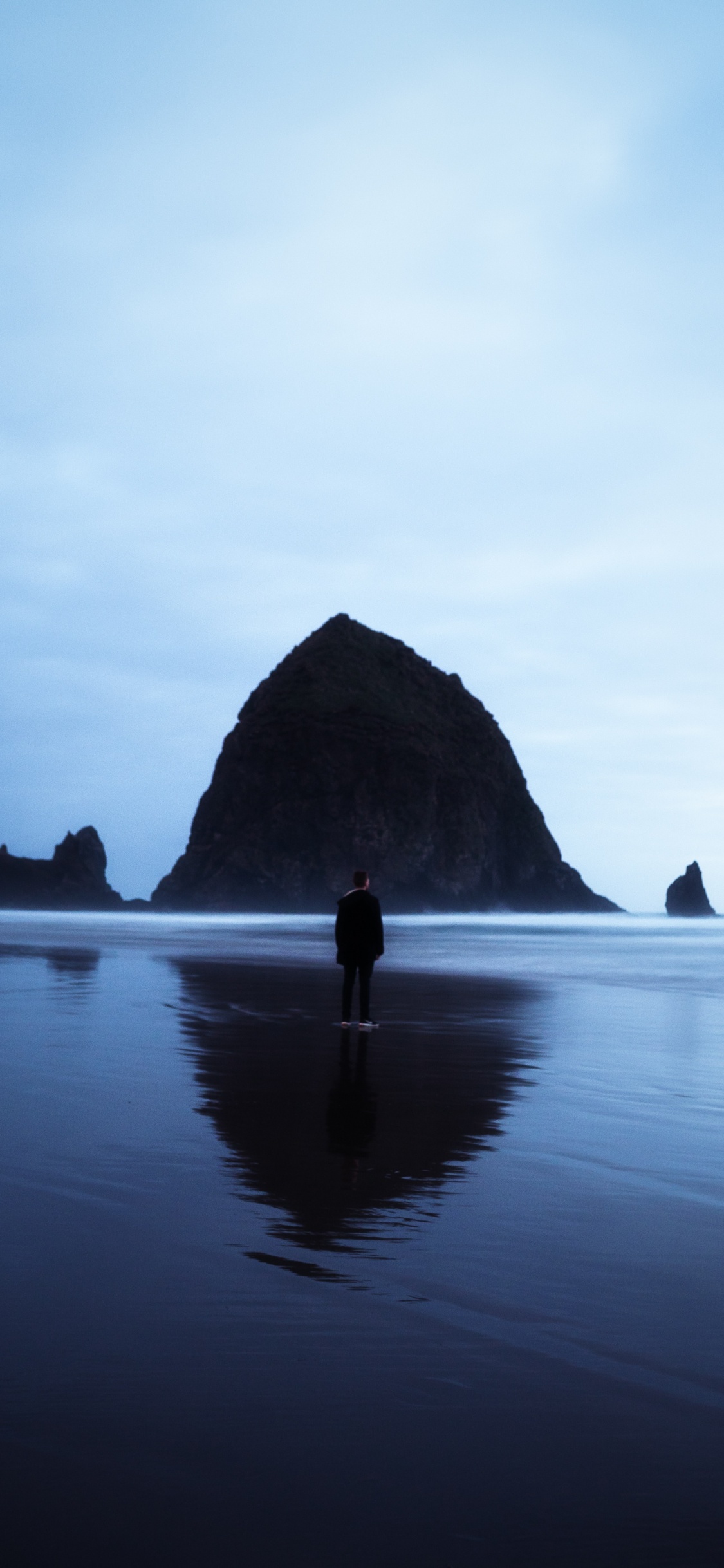 Haystack Rock, Body of Water, Sea, Water, Ocean. Wallpaper in 1125x2436 Resolution