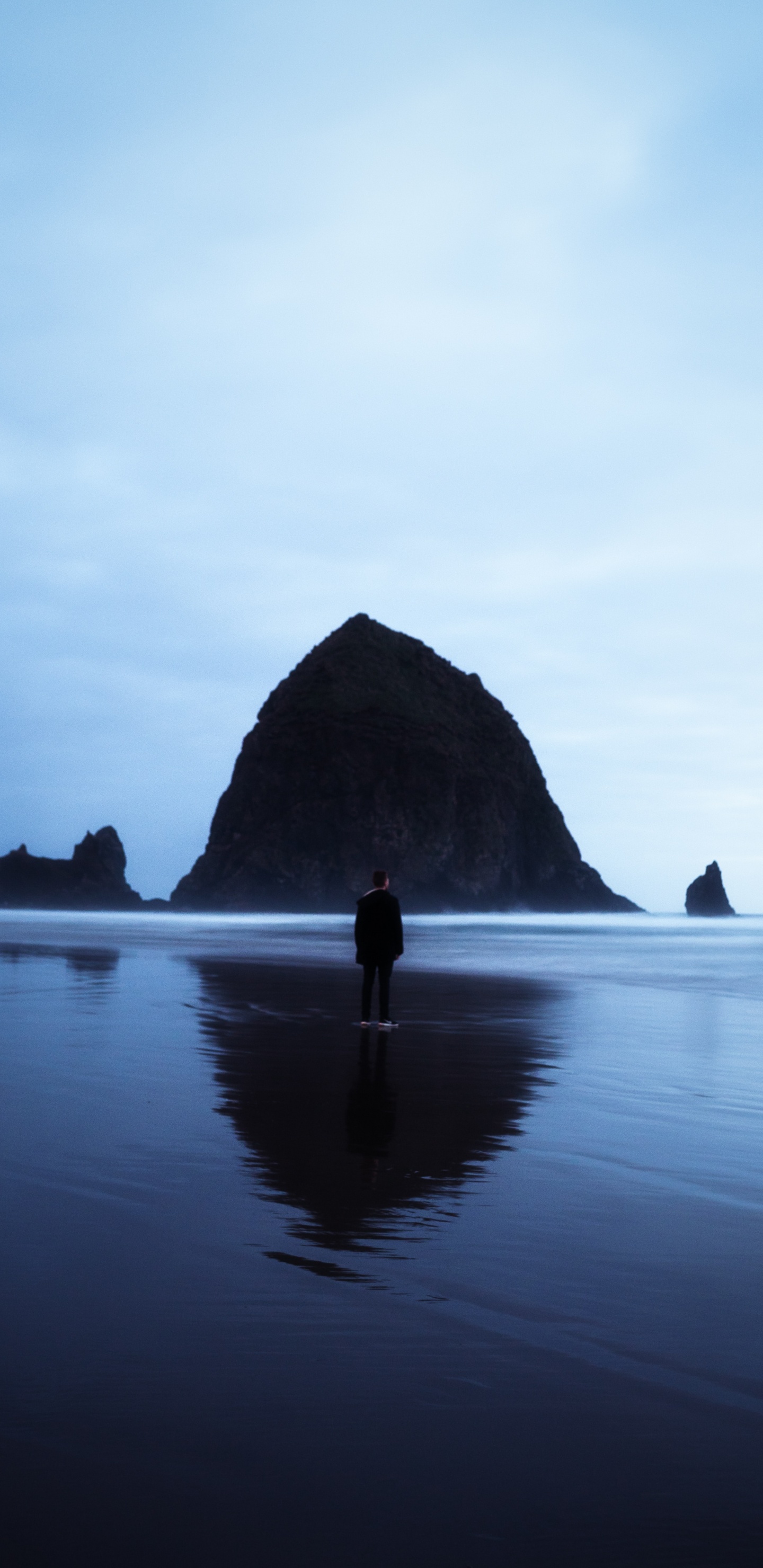 Haystack Rock, Body of Water, Sea, Water, Ocean. Wallpaper in 1440x2960 Resolution