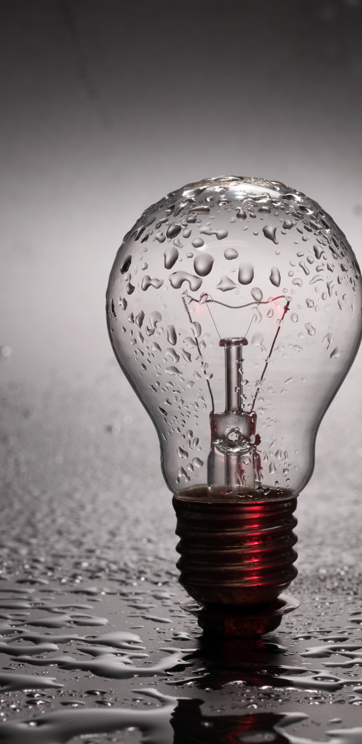 Goutte D'eau Sur Une Ampoule en Verre Transparent. Wallpaper in 1440x2960 Resolution