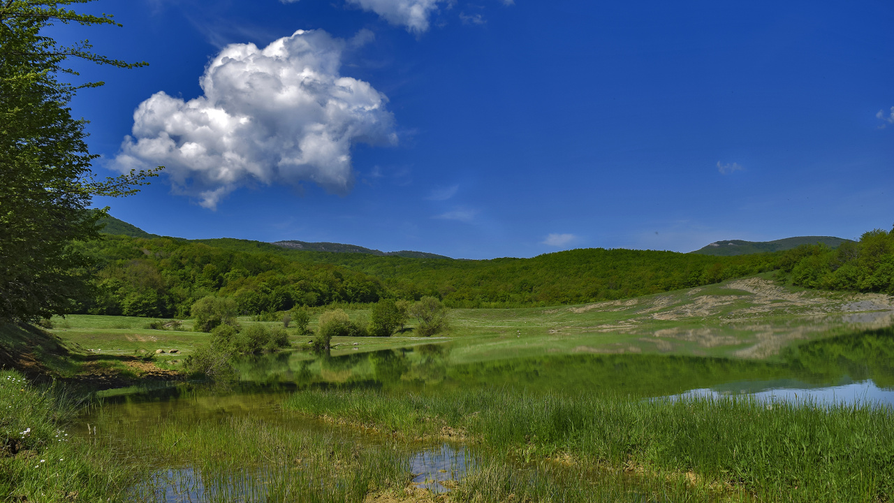 Green Grass Field Under Blue Sky During Daytime. Wallpaper in 1280x720 Resolution