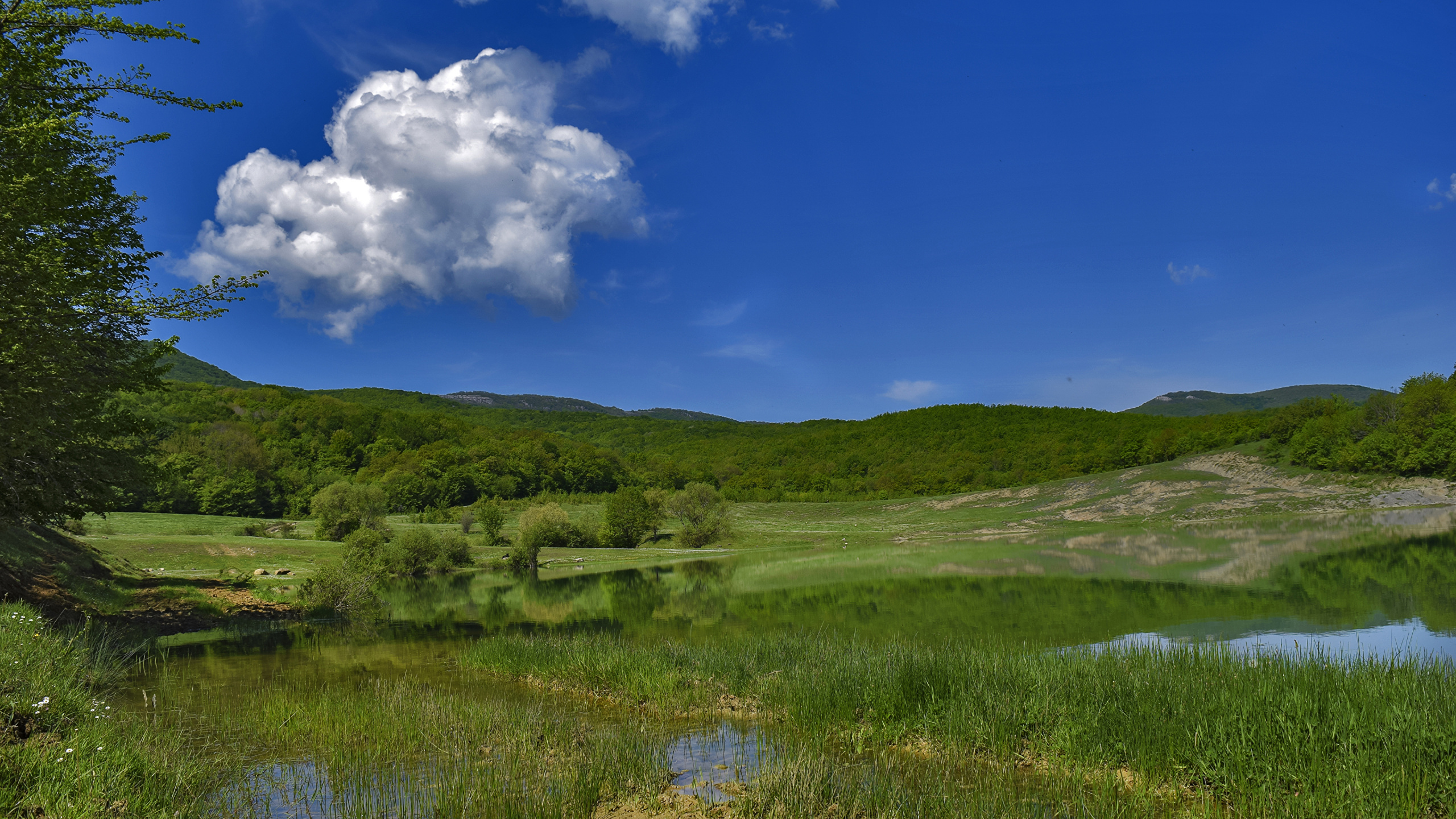 Green Grass Field Under Blue Sky During Daytime. Wallpaper in 2560x1440 Resolution