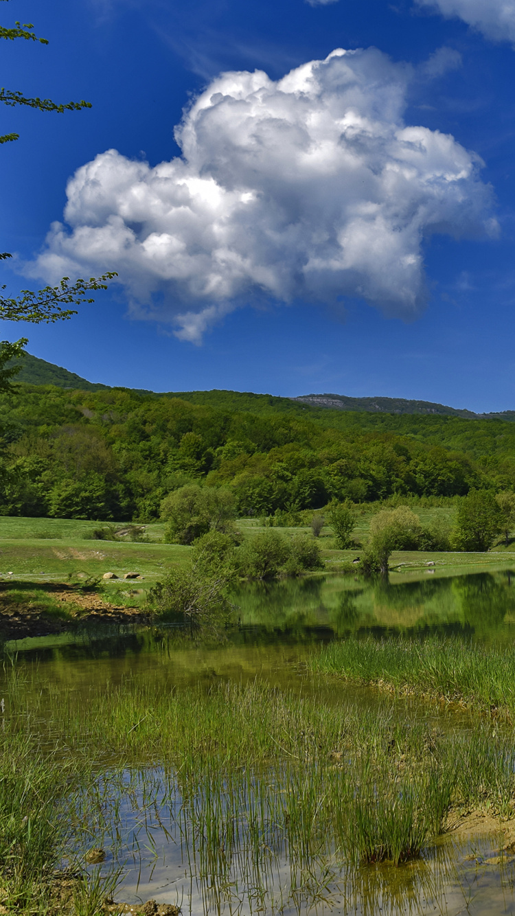Green Grass Field Under Blue Sky During Daytime. Wallpaper in 750x1334 Resolution