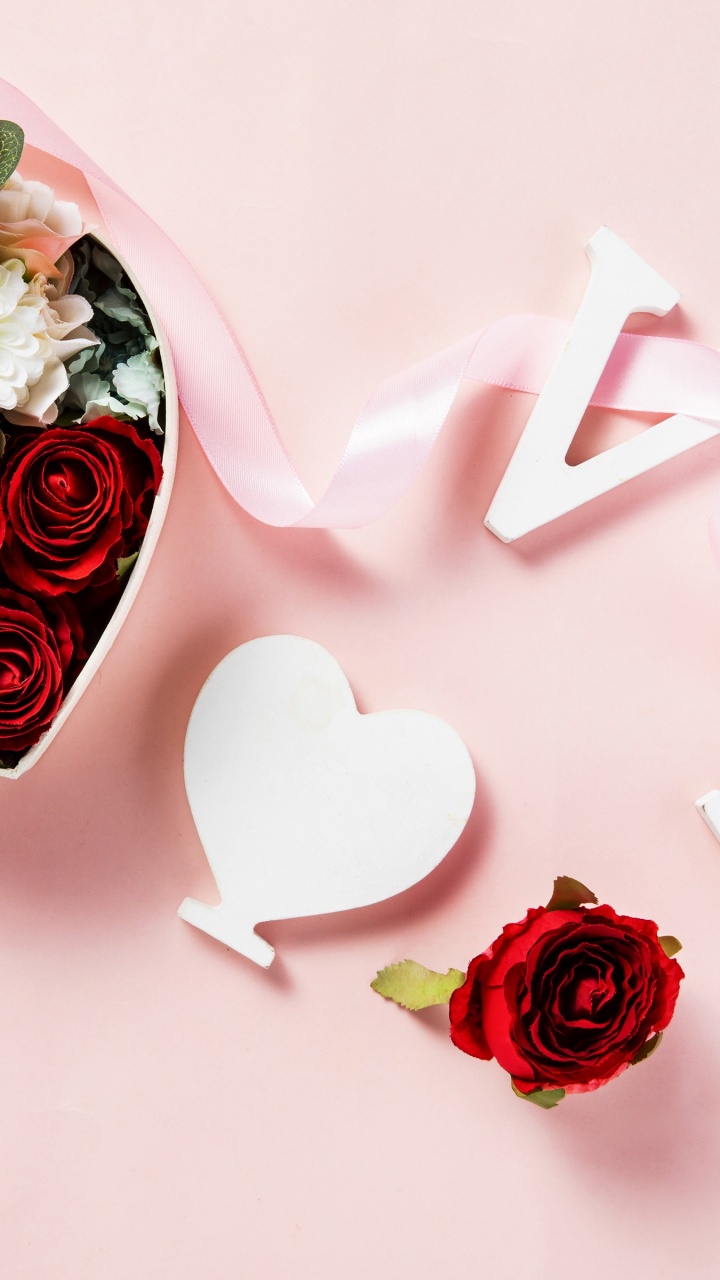 Petal, Gift, Floristry, Valentines Day, Wedding Ceremony Supply. Wallpaper in 720x1280 Resolution