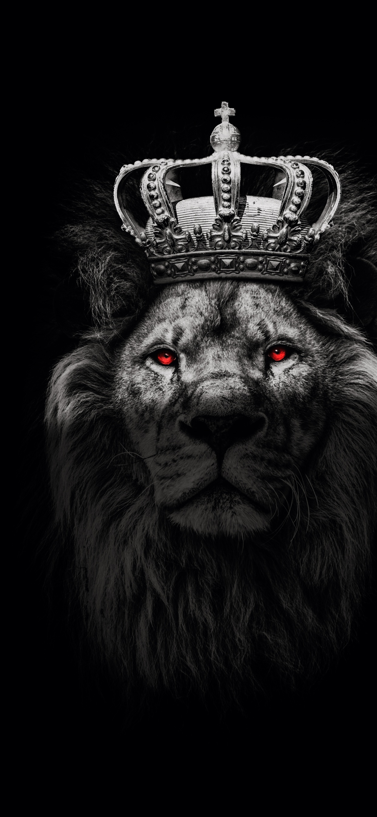 Geboren um Löwen zu Gewinnen, Hanna Ist, Lion, Poster, Motivations-poster. Wallpaper in 1242x2688 Resolution