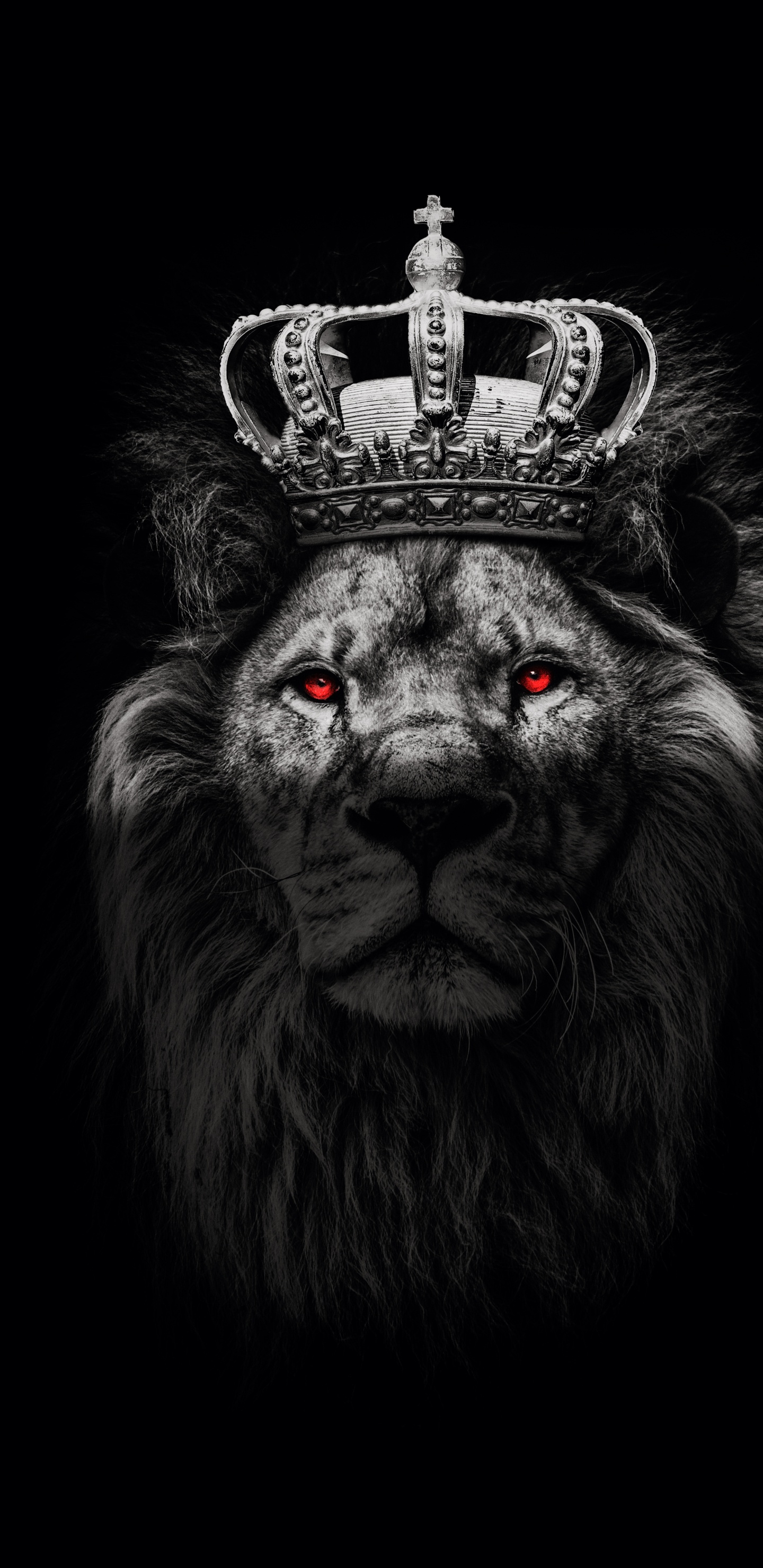 Nacido Para Ganar León, Hanna Ar, Leones, Cartel, Poster de Motivación. Wallpaper in 1440x2960 Resolution