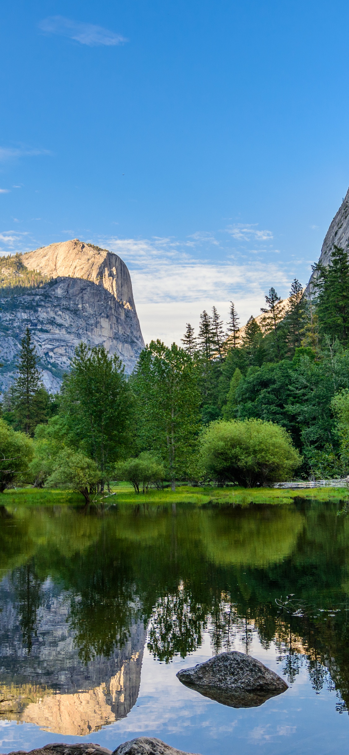 mirror lake, wall, removable, lake, mural