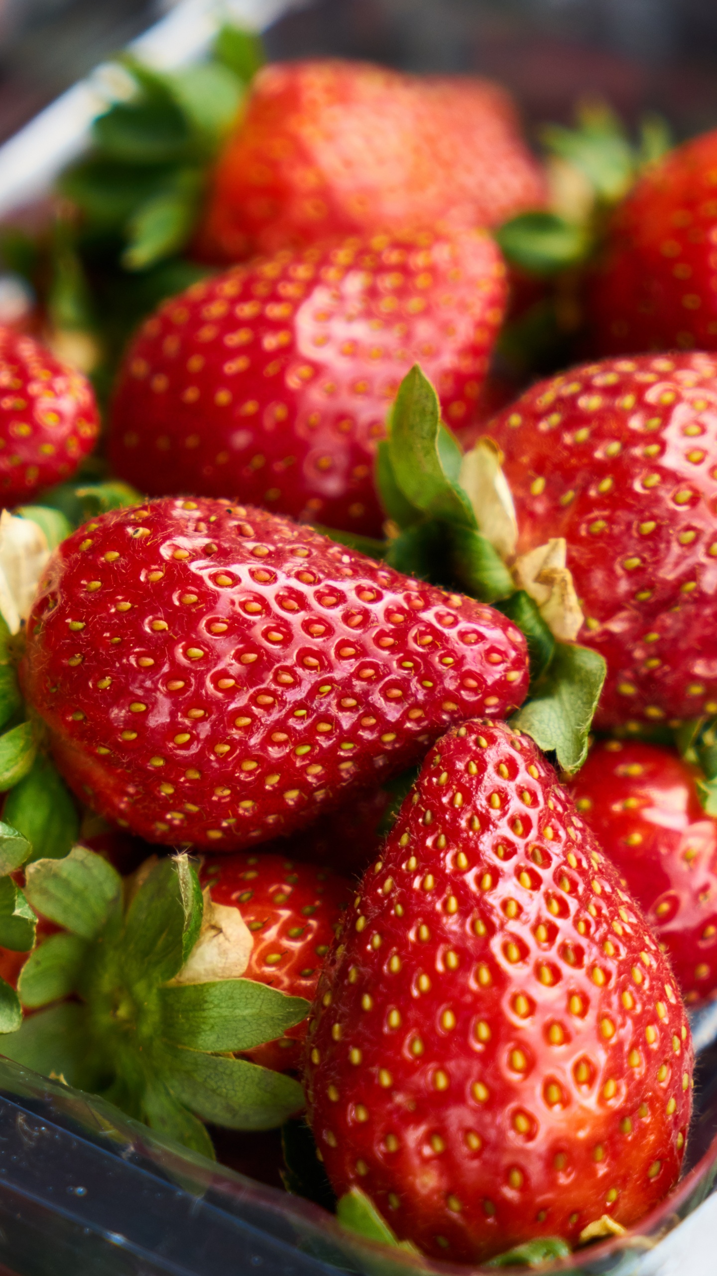 Erdbeeren Auf Edelstahlblech. Wallpaper in 1440x2560 Resolution