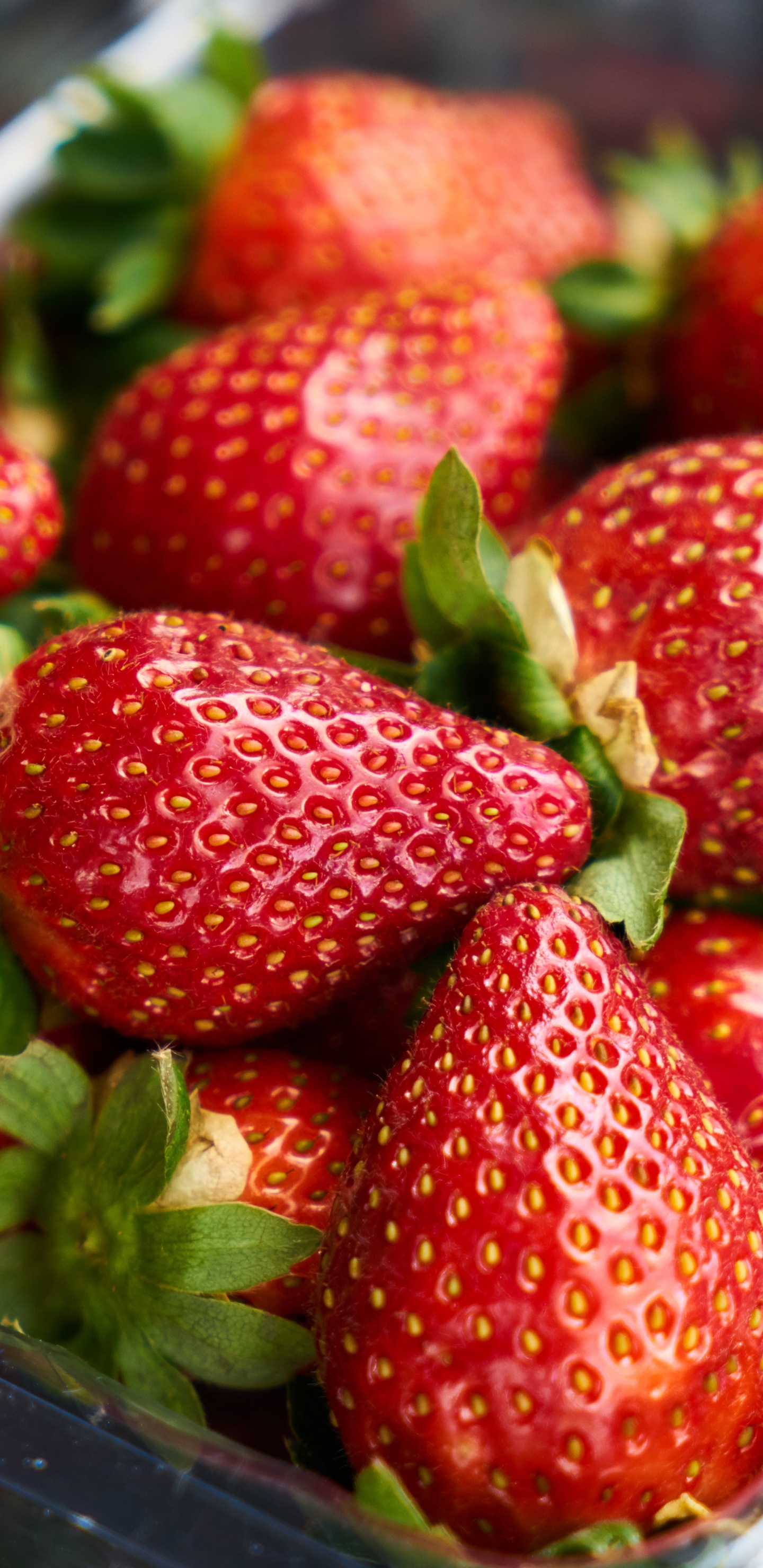 Erdbeeren Auf Edelstahlblech. Wallpaper in 1440x2960 Resolution