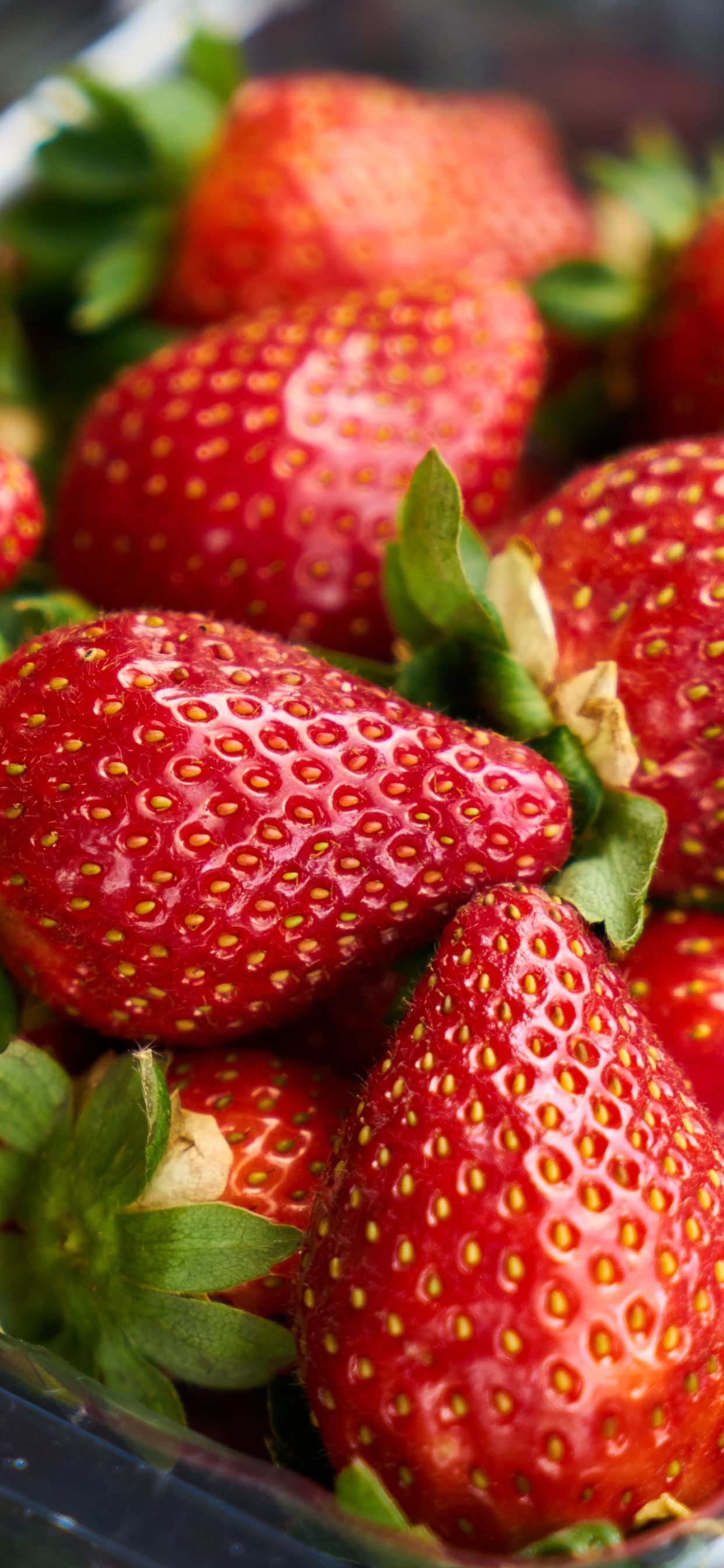 Strawberries on Stainless Steel Tray. Wallpaper in 1242x2688 Resolution