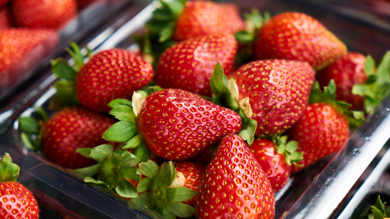 Strawberries on Stainless Steel Tray. Wallpaper in 1280x720 Resolution