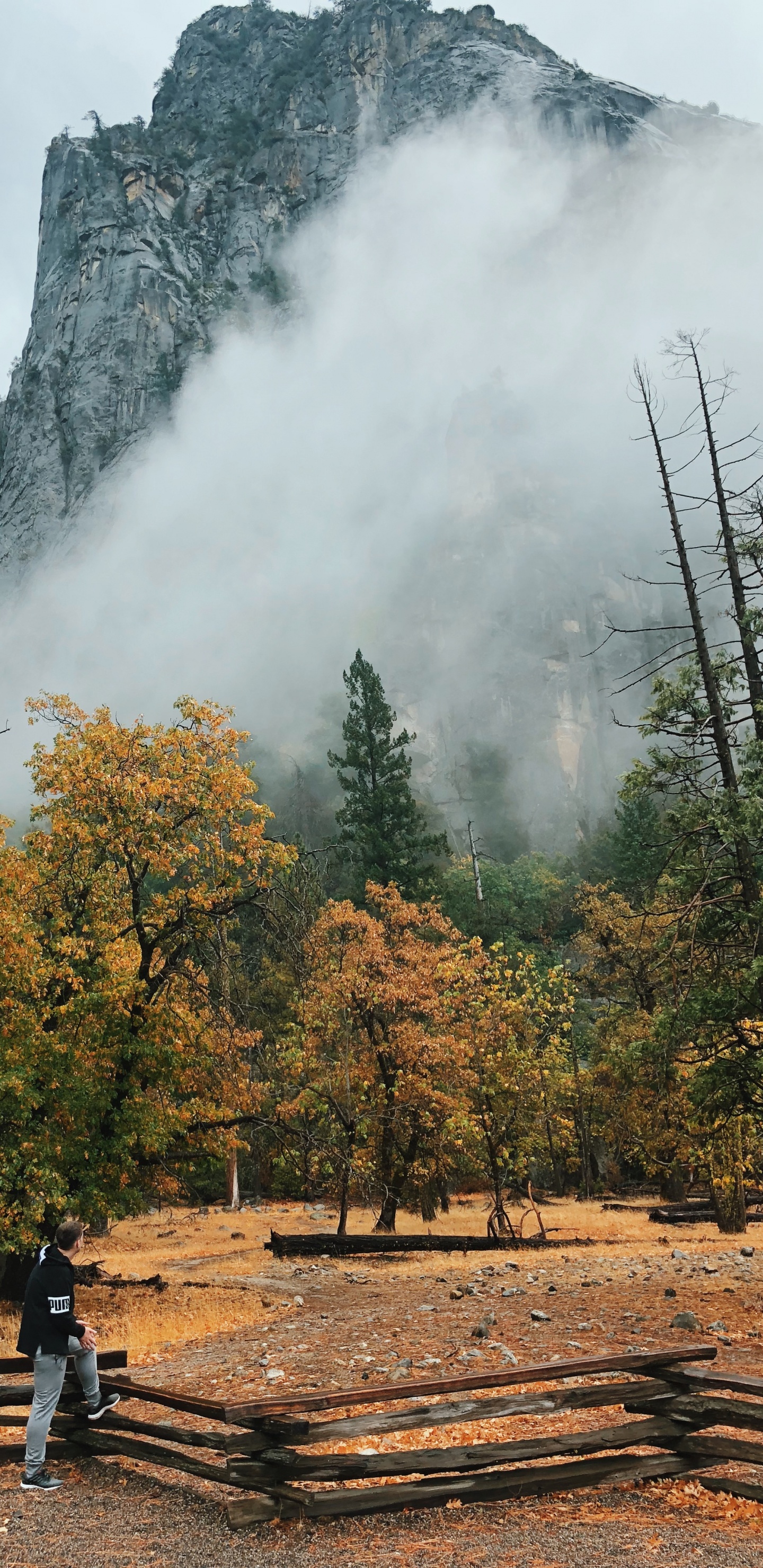Californie, Unis, la Vallée de Yosemite, Nature, Paysage Naturel. Wallpaper in 1440x2960 Resolution