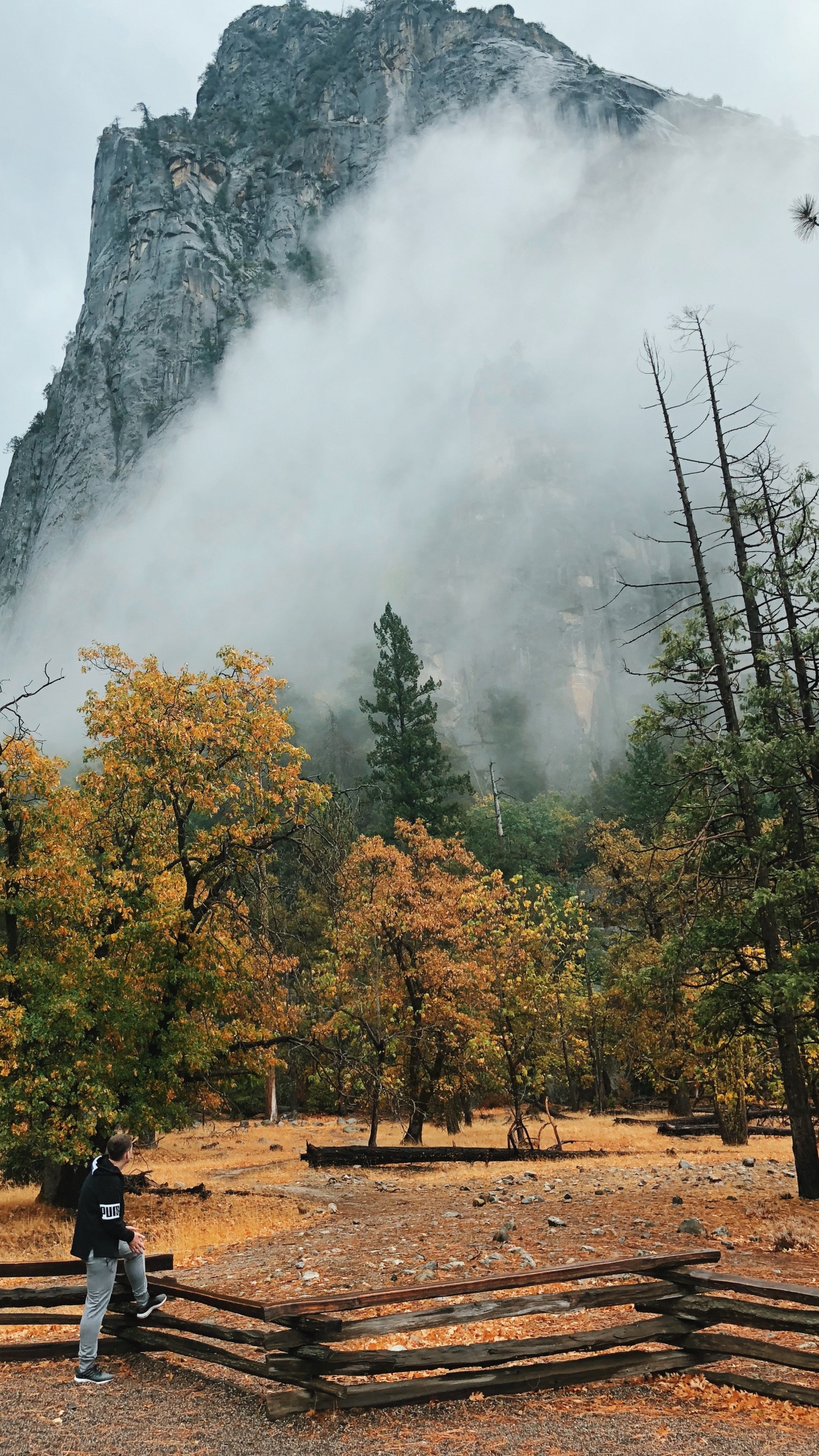 California, el Valle de Yosemite, Naturaleza, Paisaje Natural, Highland. Wallpaper in 1440x2560 Resolution
