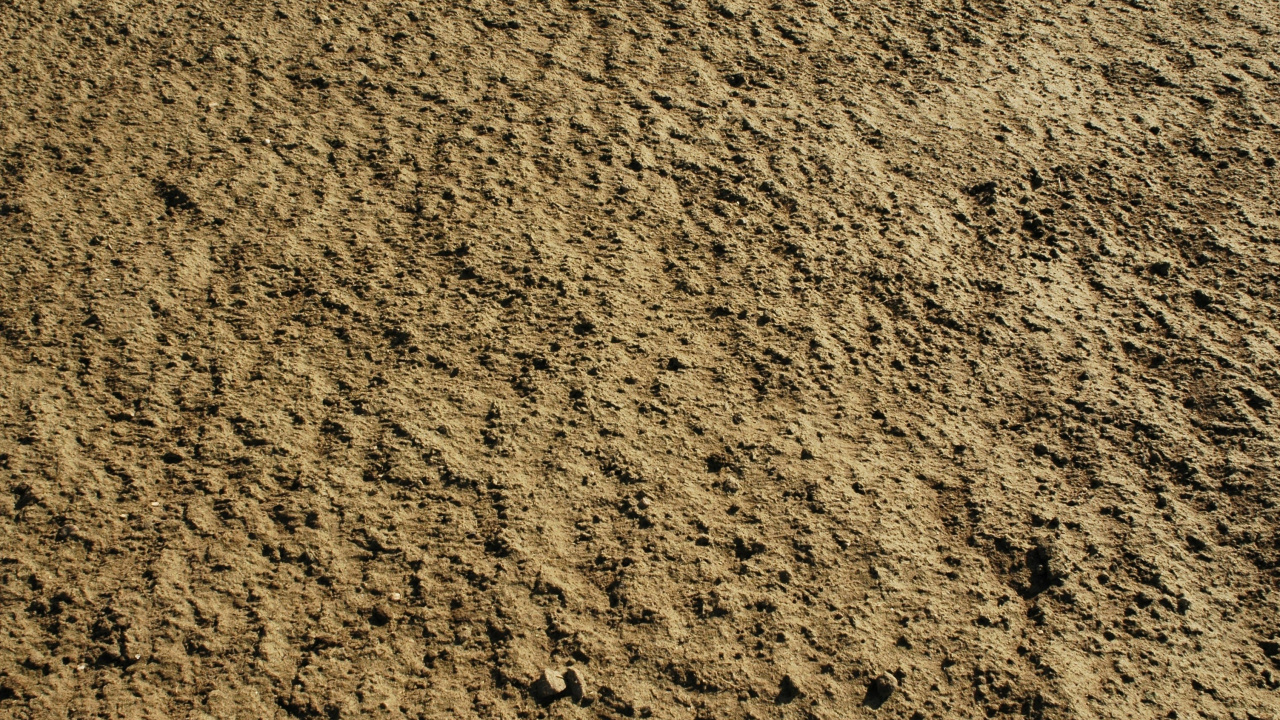 Brown and Black Area Rug. Wallpaper in 1280x720 Resolution