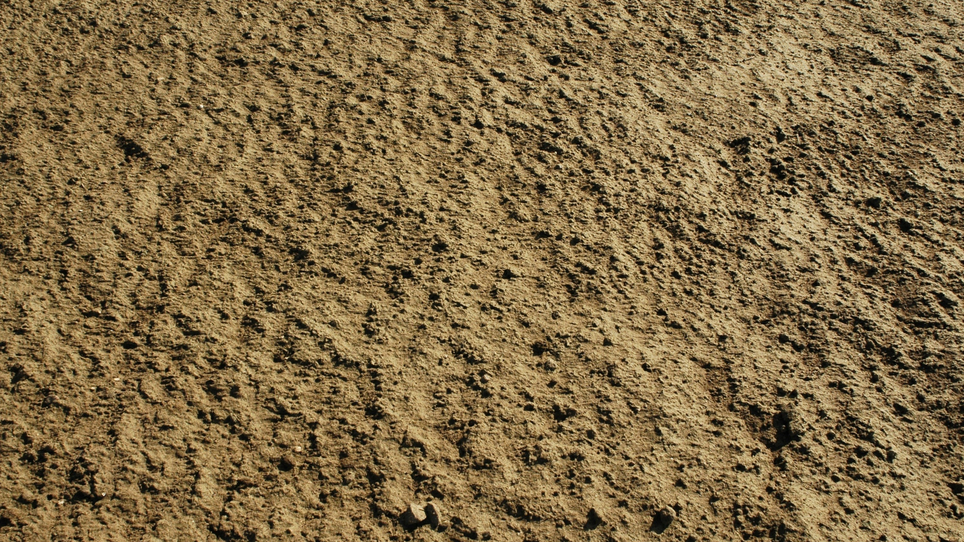 Brown and Black Area Rug. Wallpaper in 1920x1080 Resolution