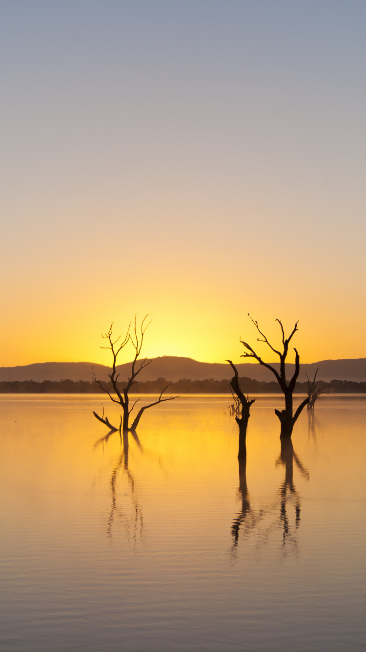 Grampians National Park, Park, National Park, Mountain, Landscape. Wallpaper in 750x1334 Resolution
