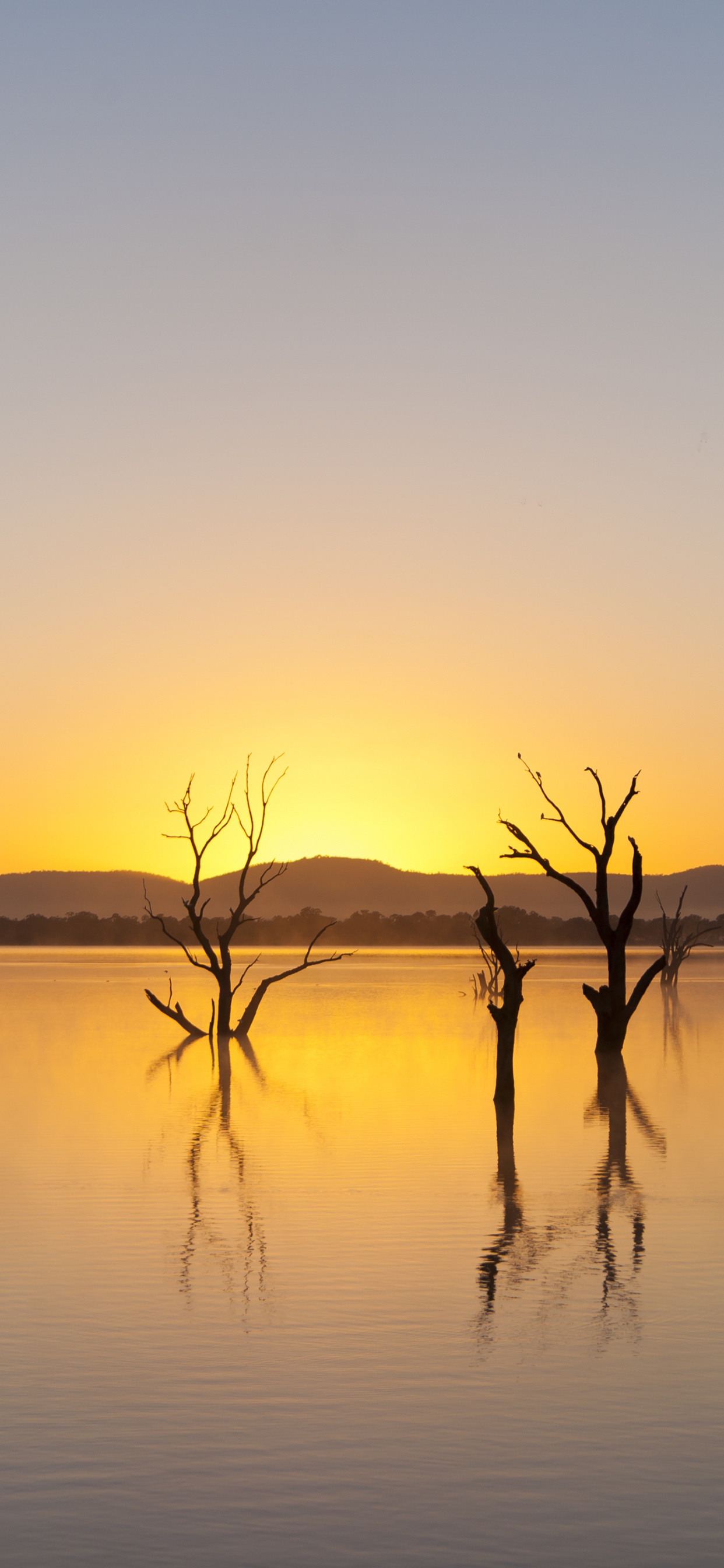 Grampians-Nationalpark, Park, Nationalpark, Wasser, Wasserressourcen. Wallpaper in 1242x2688 Resolution
