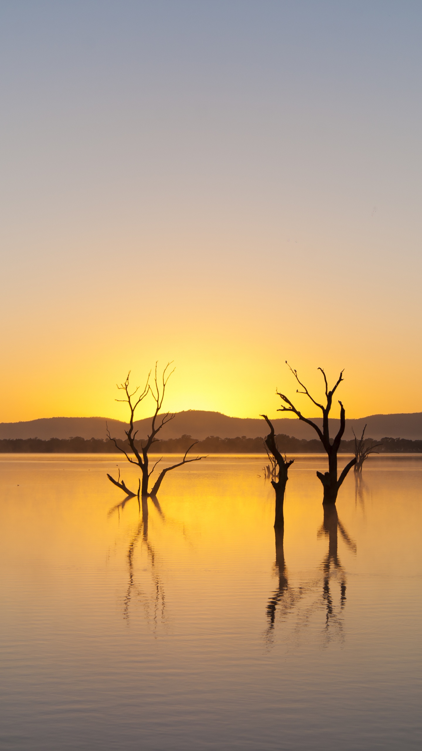 Grampians-Nationalpark, Park, Nationalpark, Wasser, Wasserressourcen. Wallpaper in 1440x2560 Resolution