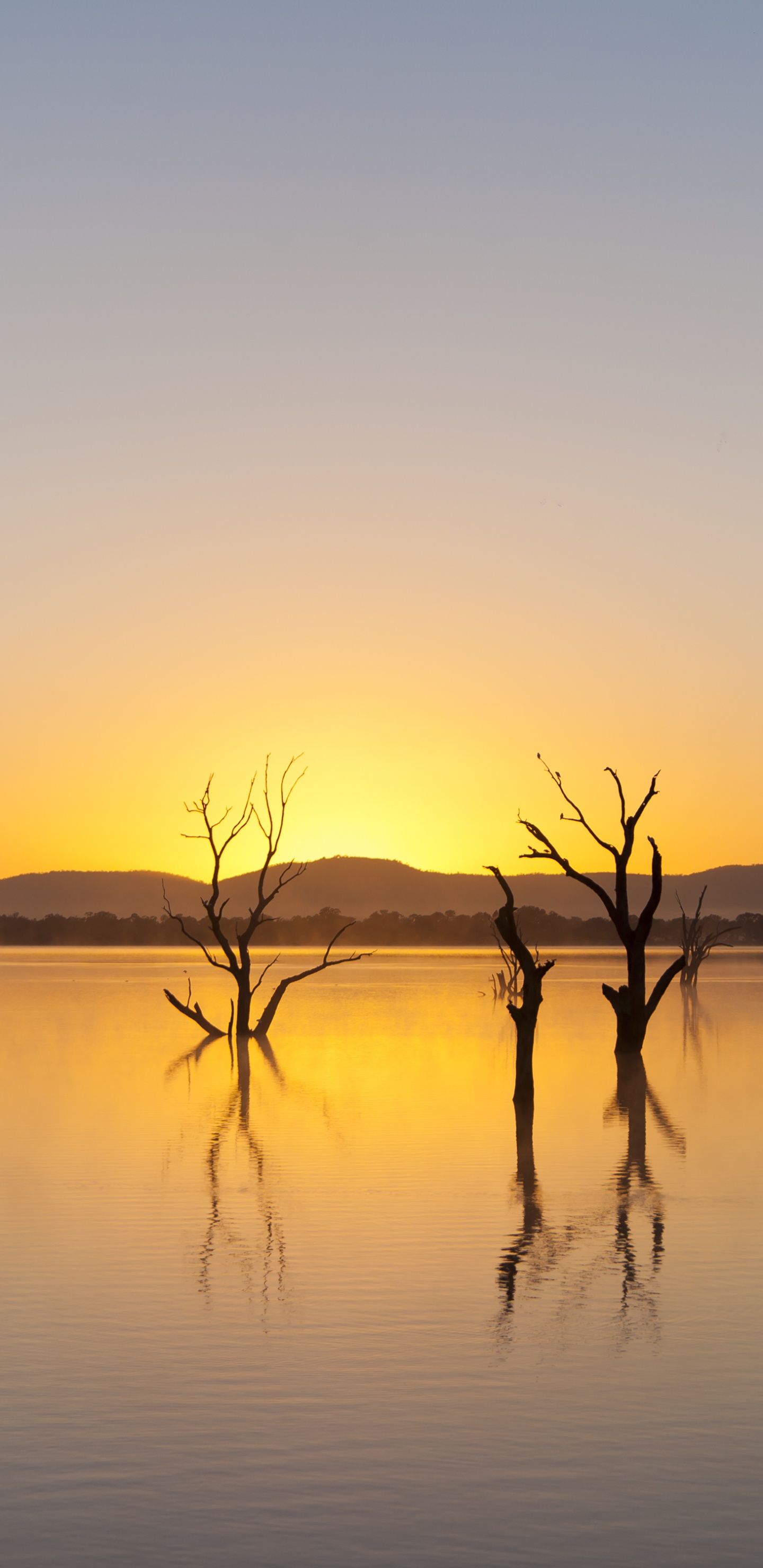 Grampians-Nationalpark, Park, Nationalpark, Wasser, Wasserressourcen. Wallpaper in 1440x2960 Resolution