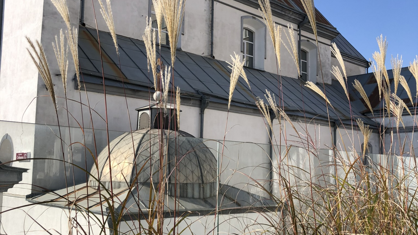 Roof, Real Estate, House, Finial, Perennial Plant. Wallpaper in 1366x768 Resolution