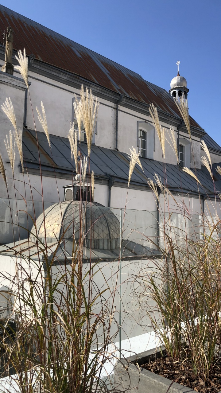 Roof, Real Estate, House, Finial, Perennial Plant. Wallpaper in 720x1280 Resolution