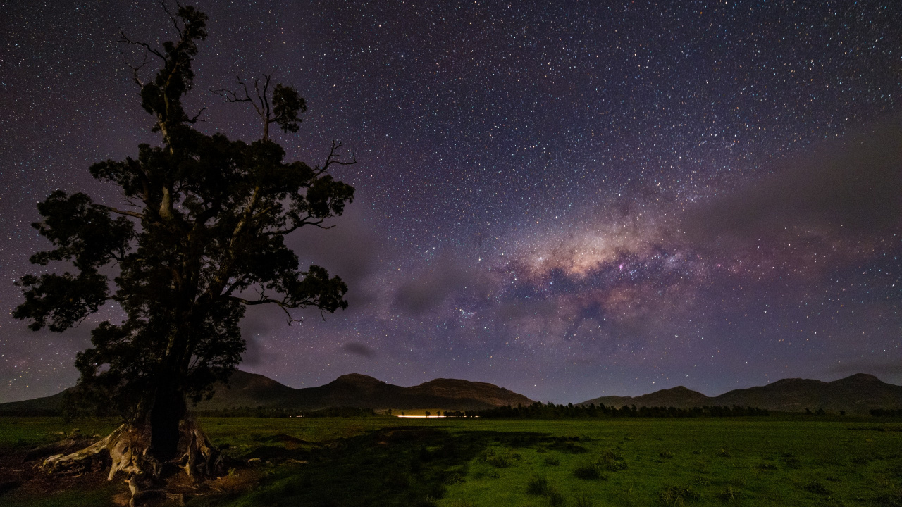 Campo de Hierba Verde Bajo la Noche Estrellada. Wallpaper in 1280x720 Resolution